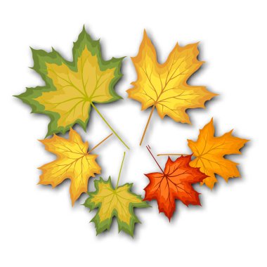 Sonbahar yaprakları buket şablonu, alışveriş için sıcak renk akçaağaç yapraklarıyla dekore edilir. Ya da tanıtım afişi ve web afişi. Vektör illüstrasyonu.