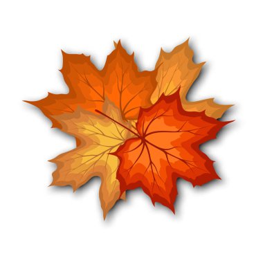 Sonbahar yaprakları buket şablonu, alışveriş için sıcak renk akçaağaç yapraklarıyla dekore edilir. Ya da tanıtım afişi ve web afişi. Vektör illüstrasyonu.