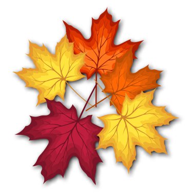 Sonbahar yaprakları buket şablonu, alışveriş için sıcak renk akçaağaç yapraklarıyla dekore edilir. Ya da tanıtım afişi ve web afişi. Vektör illüstrasyonu.