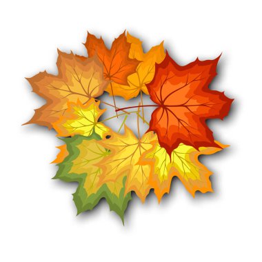 Sonbahar yaprakları buket şablonu, alışveriş için sıcak renk akçaağaç yapraklarıyla dekore edilir. Ya da tanıtım afişi ve web afişi. Vektör illüstrasyonu.