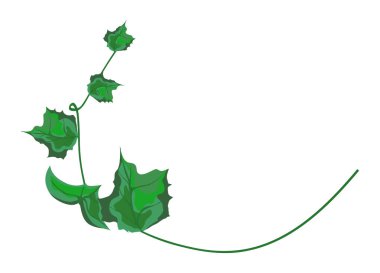 Beyaz arkaplanda kabak sapı filizi karikatürü izole edilmiş vektör çizimi. Balkabağı filizi. Gerçekçi balkabağı filizi çizimi.