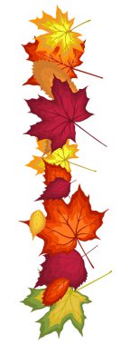 Parlak sonbahar yapraklı Şükran Günü afişi. Sonbahar tatilleri, etkinlikler, indirimler ve satışlar için tasarım öğesi. Vektör illüstrasyonu.