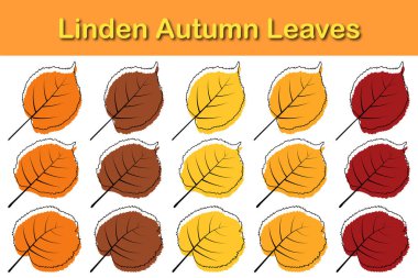 Sonbahar ıhlamur yaprağı seti. Sonbahar yaprakları düşer. Vektör illüstrasyonu.