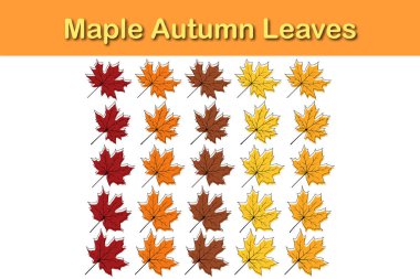 Sonbahar akçaağaç yaprağı seti. Sonbahar yaprakları dökülüyor. Vektör illüstrasyonu.
