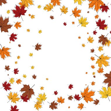 Beyaz arka planda akçaağaç yaprakları uçuşan sonbahar çerçevesi. Şık akçaağaç gülü çizim karalama tasarımı. Vektör İllüstrasyonu.