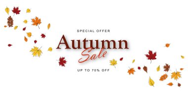 Sonbahar bayrak şablonu akçaağaç, ıhlamur ağacı, kül ağacı, rowan, huş ağacı, meşe yaprakları ile dekore edilir. Alışveriş için sıcak renk tonu veya tanıtım posteri ve web afişi. Vektör illüstrasyonu.