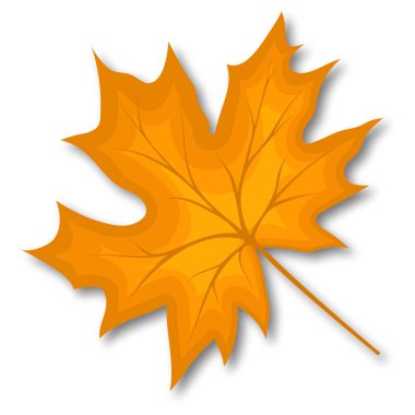 Sonbahar akçaağaç yaprağı. Gölgeli bir yaprak. Vektör illüstrasyonu.