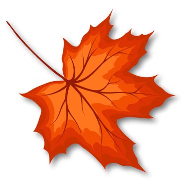Sonbahar akçaağaç yaprağı. Gölgeli bir yaprak. Vektör illüstrasyonu.
