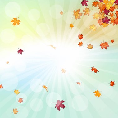 Sonbahar çerçevesinde, sonbahar vanilya gökyüzü zemininde, güneş ışınları ve parıltılarıyla akçaağaç yaprakları uçuşuyor. Zarif, ılık bir sonbahar yaprağı tasarımı. Vektör illüstrasyonu.