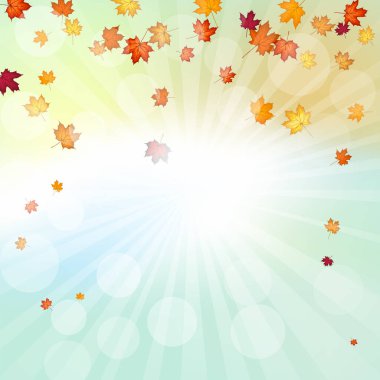 Sonbahar çerçevesinde, sonbahar vanilya gökyüzü zemininde, güneş ışınları ve parıltılarıyla akçaağaç yaprakları uçuşuyor. Zarif, ılık bir sonbahar yaprağı tasarımı. Vektör illüstrasyonu.