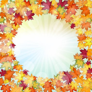 Sonbahar çerçevesinde, sonbahar vanilya gökyüzü zemininde, güneş ışınları ve parıltılarıyla akçaağaç yaprakları uçuşuyor. Zarif, ılık bir sonbahar yaprağı tasarımı. Vektör illüstrasyonu.