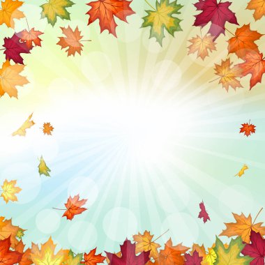 Sonbahar çerçevesinde, sonbahar vanilya gökyüzü zemininde, güneş ışınları ve parıltılarıyla akçaağaç yaprakları uçuşuyor. Zarif, ılık bir sonbahar yaprağı tasarımı. Vektör illüstrasyonu.