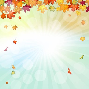 Sonbahar çerçevesinde, sonbahar vanilya gökyüzü zemininde, güneş ışınları ve parıltılarıyla akçaağaç yaprakları uçuşuyor. Zarif, ılık bir sonbahar yaprağı tasarımı. Vektör illüstrasyonu.