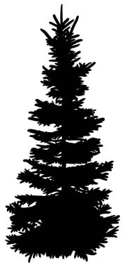 Köknar ağacının silueti. Köknar ormanı, noel ve yeni yıl teması için farklı tasarımlar yapmak üzere ayrıntılı siluet. Vektör illüstrasyonu.