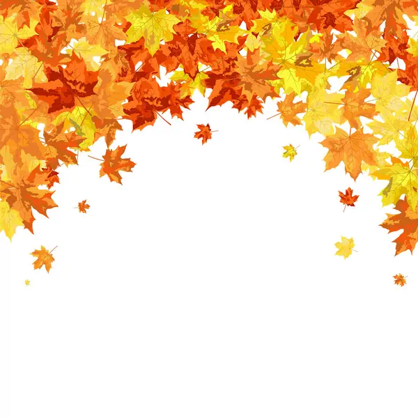 Blowing Maple 'ın Beyaz Arkaplanda Bıraktığı Sonbahar Çerçevesi. Zarif Tasarım. Vektör İllüstrasyonu.
