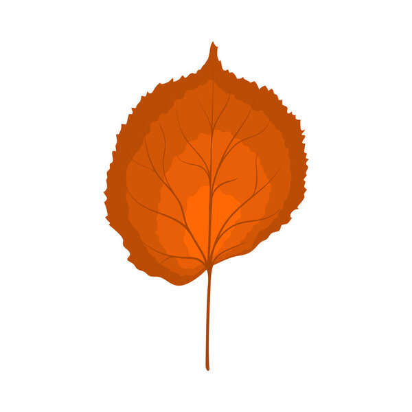 Осенний липовый лист. Лист падает. Векторная иллюстрация.