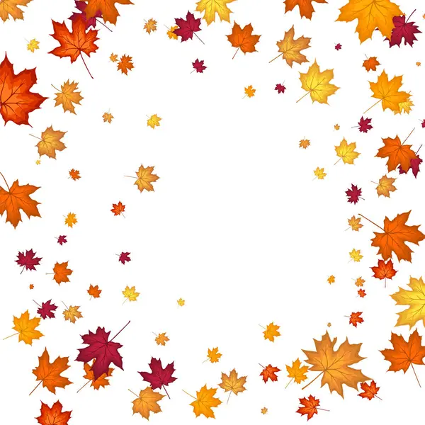 Blowing Maple 'ın Beyaz Arkaplanda Bıraktığı Sonbahar Çerçevesi. Zarif Tasarım. Vektör İllüstrasyonu.