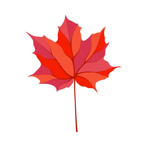 Autumn Maple Leaf Leaf Fall Vector Illustration — Stock Vector
