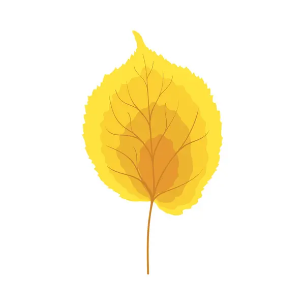 Herbstlindenblatt Laubfall Vektorillustration Vektorgrafiken
