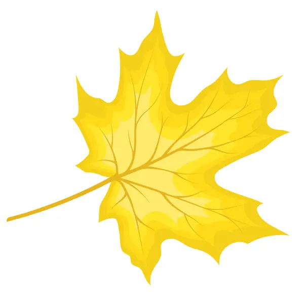 Autumn Maple Leaf Fall Leaf Vector Illustration — Stock Vector
