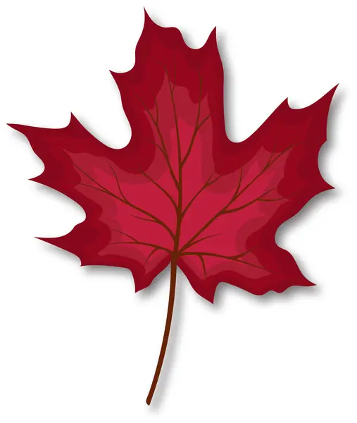 Autumn Maple Leaf Fall Leaf Shadow Vector Illustration — Stock Vector