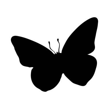 Kelebek silueti. Kelebek yakın çekim detaylı. Beyaz arkaplanda vektör kelebeği simgesi.