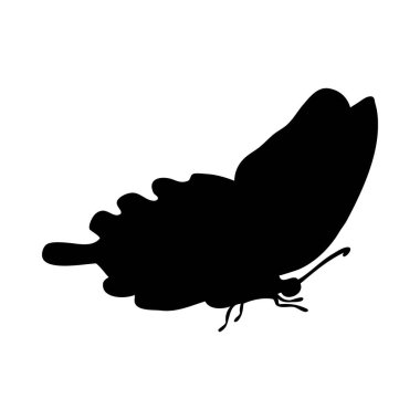 Kelebek silueti. Kelebek yakın çekim detaylı. Beyaz arkaplanda vektör kelebeği simgesi.