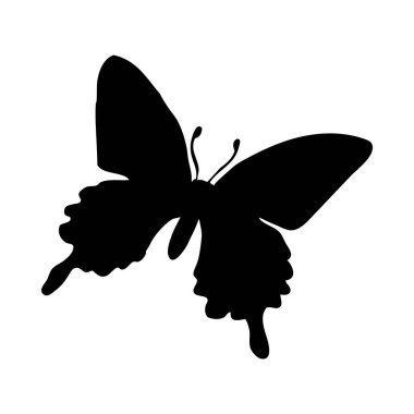 Kelebek silueti. Kelebek yakın çekim detaylı. Beyaz arkaplanda vektör kelebeği simgesi.