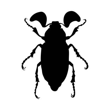 Silhouette of beetle. Beetle close-up detailed. Vector beetle icon on white background. clipart