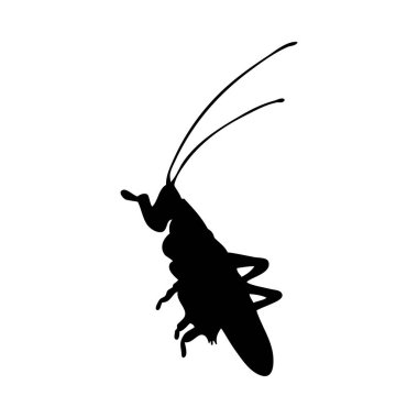 Çekirge silueti. Çekirge yakından çekilmiş. Beyaz arkaplanda vektör çekirge simgesi.