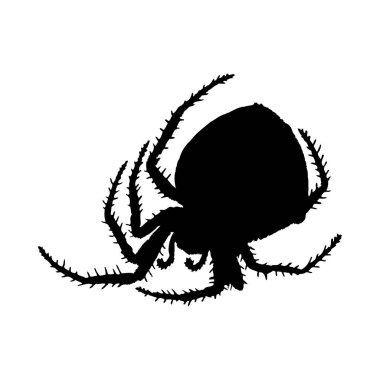 Örümcek silueti. Örümceğin yakın çekimi detaylı. Beyaz arkaplanda vektör örümcek simgesi.