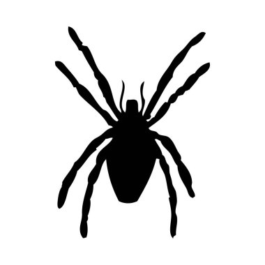 Örümcek silueti. Örümceğin yakın çekimi detaylı. Beyaz arkaplanda vektör örümcek simgesi.