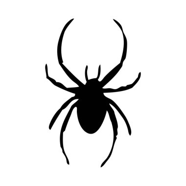 Örümcek silueti. Örümceğin yakın çekimi detaylı. Beyaz arkaplanda vektör örümcek simgesi.