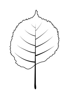Sonbahar ıhlamur yaprağı. Sonbahar yaprakları dökülüyor. Vektör illüstrasyonu.