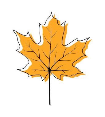 Sonbahar akçaağaç yaprağı. Sonbahar yaprakları dökülüyor. Vektör illüstrasyonu.