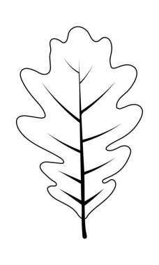 Sonbahar meşe yaprağı. Yaprak düştü. Vektör illüstrasyonu.