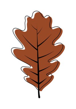 Sonbahar meşe yaprağı. Yaprak düştü. Vektör illüstrasyonu.