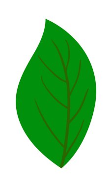 Ağaç yaprağı Farklı tasarımlar için uygun. Vektör İllüstrasyonu.