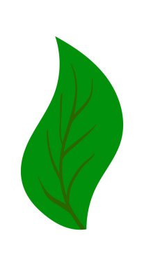 Ağaç yaprağı Farklı tasarımlar için uygun. Vektör İllüstrasyonu.