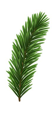 Yeşil Noel ağaç dalı elementi. Vektör illüstrasyonu.