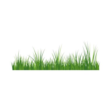 Yeşil çim sınırı. Yüksek yeşil taze çimenler izole edilmiş..
