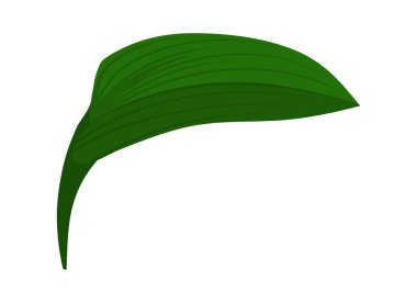 Vadi çiçeği yaprağı zambağı. Yaz ve bahar çayır tasarımları yapmak için güzel bir çiçek. Vektör illüstrasyonu.