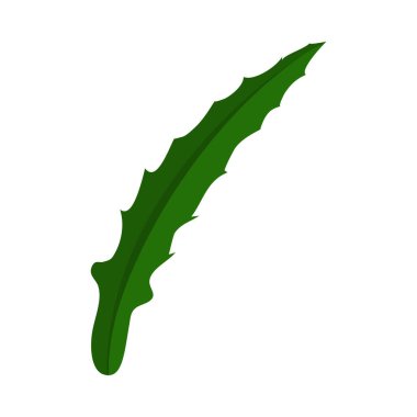 Çayır çiçeği yaprağı. Yaz ve bahar çayır tasarımları için çiçek elementi. Vektör illüstrasyonu.