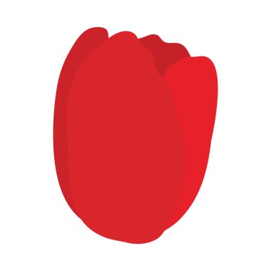 Bahar lalesi tomurcuğu. Renkli yaz ve bahar tasarımları yapmak için ideal. Vektör illüstrasyonu.