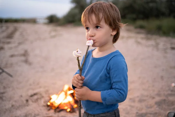 Αξιολάτρευτο Αγοράκι Που Ψήνει Ζαχαρωτά Στη Φωτιά Παιδί Διασκεδάζει Στη — Φωτογραφία Αρχείου