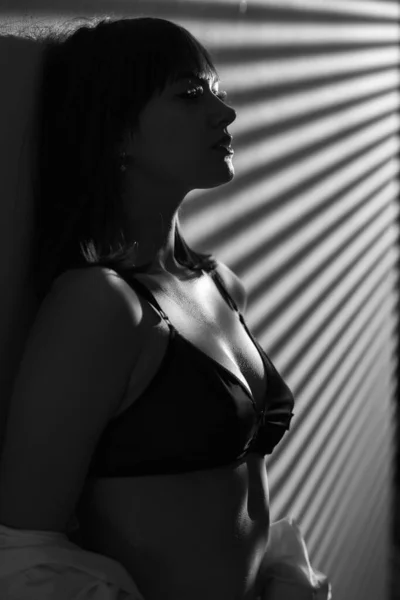 관능적 속옷을 여성의 초상화 스튜디오의 포즈를 취하는 흑백의 — 스톡 사진