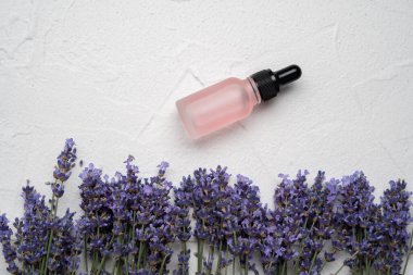 Beyaz beton arka planda lavanta çiçekleri ve gerekli yağ şişesi. Düz yerde, üst tarafta. Boşluğu kopyala