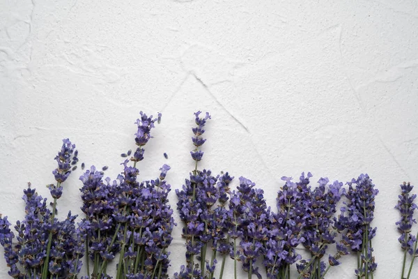 Lavender, floral background. Flowers composition. Frame of fresh lavender flowers on white concrete background. Flat lay, top view. Copy space