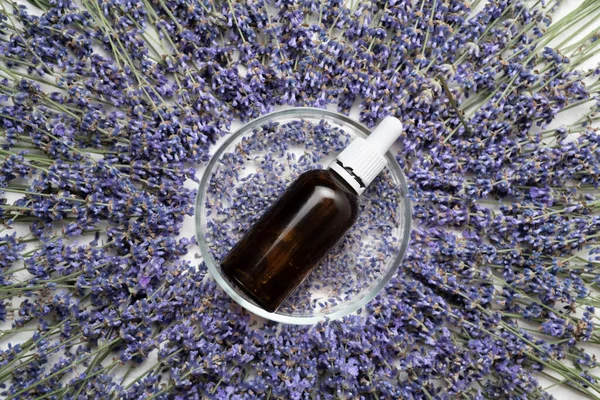 Dropper bottle with lavender essential oil on flowers background. Top view. Space for text