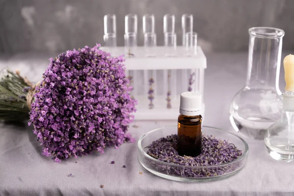 Alternative natural medicine and glassware, flasks and petri bowl with lavender flowers in lab. Natural beauty skin care products. Concept research and development. Copy space
